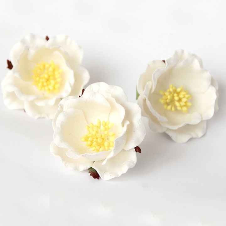 Полиантовые розы, айвори, 4 см.