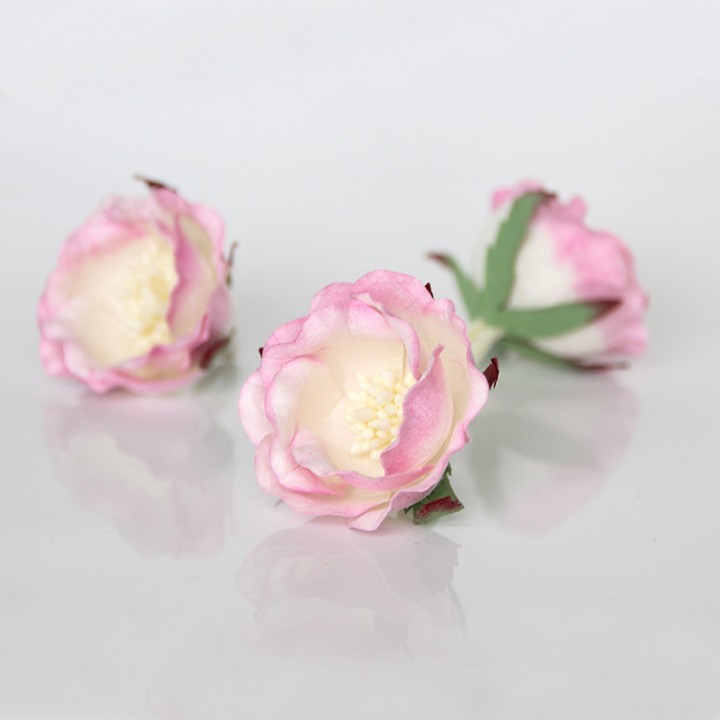 Полиантовые розы, бело-розовые, 4 см.