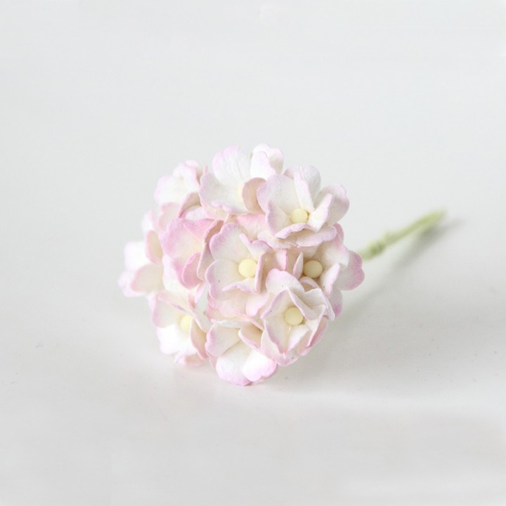 Цветы вишни, бело-розовые, 25 шт.