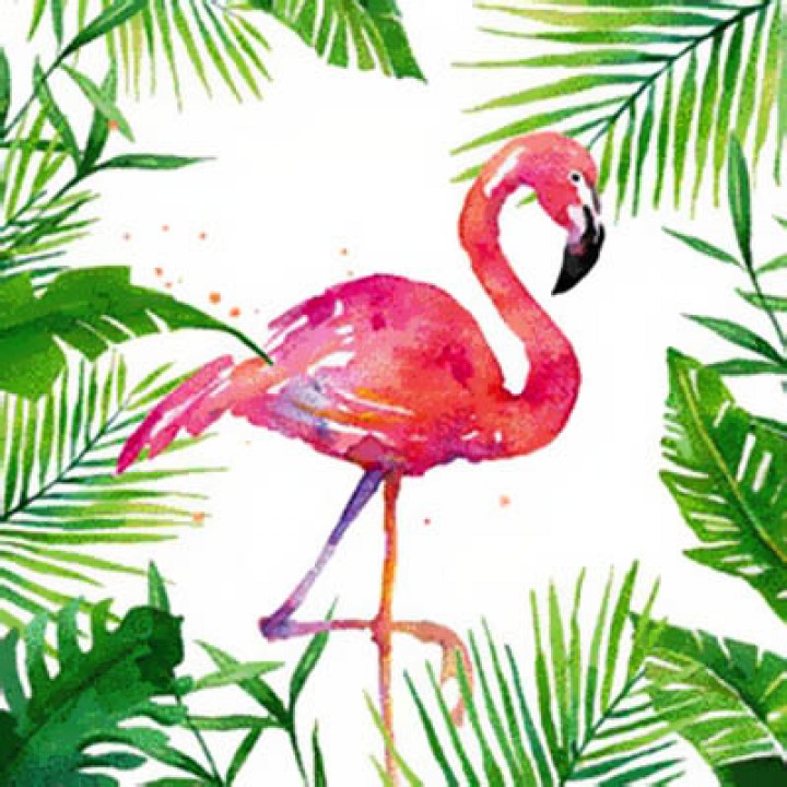Салф. Тропический фламинго