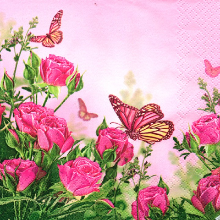 Салф. Бабочки и розы