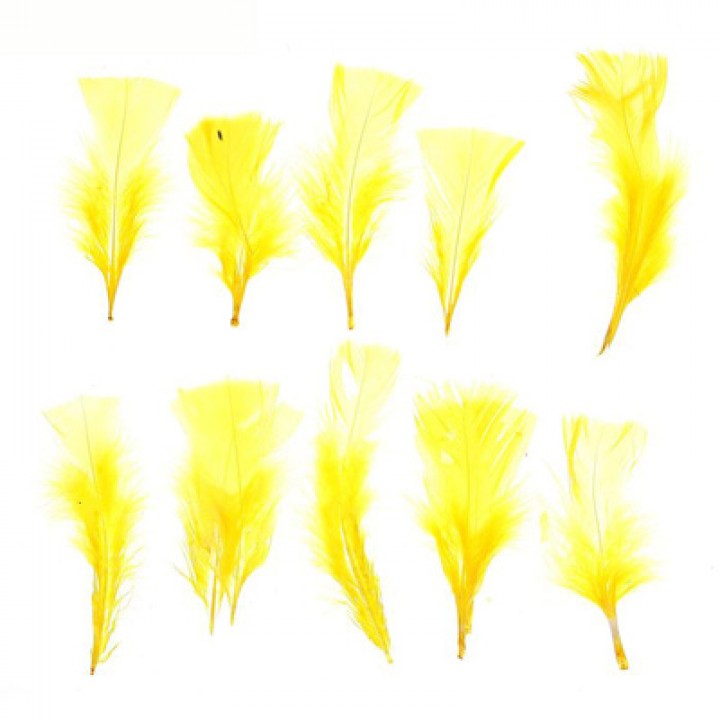 Набор перьев для декора 10 шт, цвет желтый -2, 2х15 см.