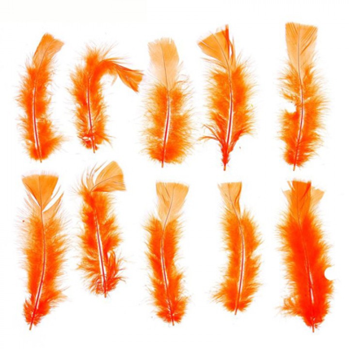 Набор перьев для декора 10 шт, цвет оранжевый -4, 2х15 см.