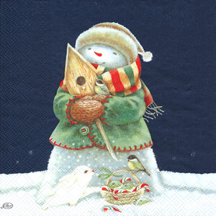 Салф. Снеговик со скворечником
