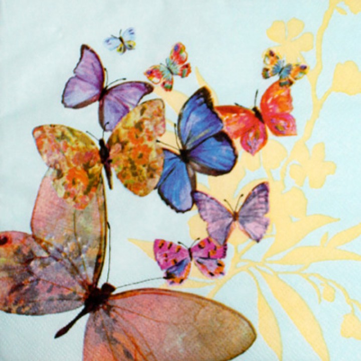 Цветные бабочки