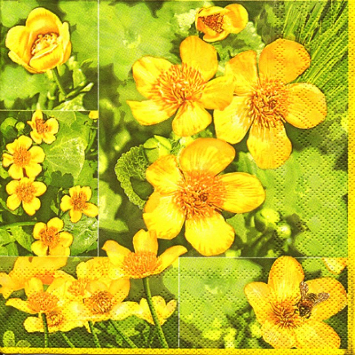 Жёлтые цветы