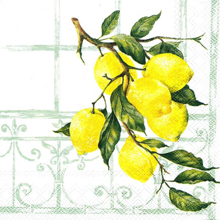 Лимонная ветка