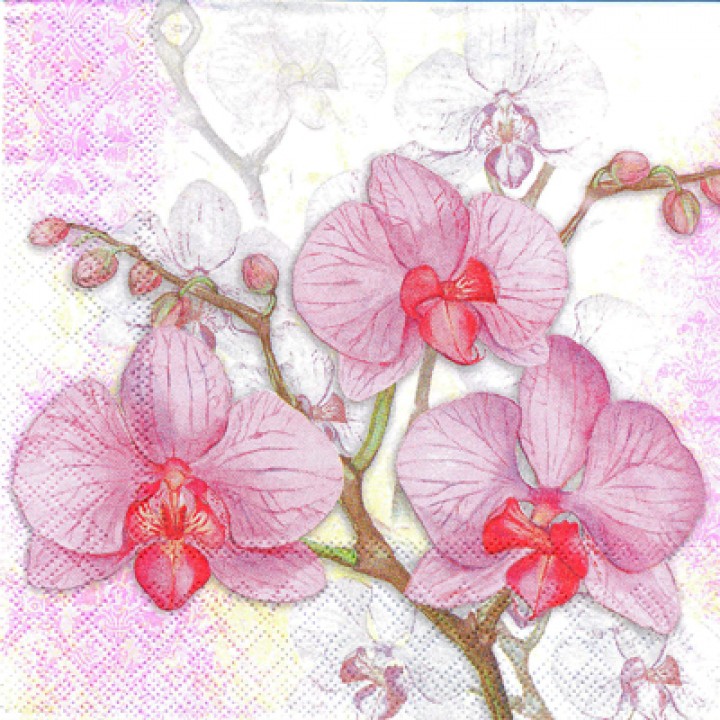Три орхидеи (розовые)