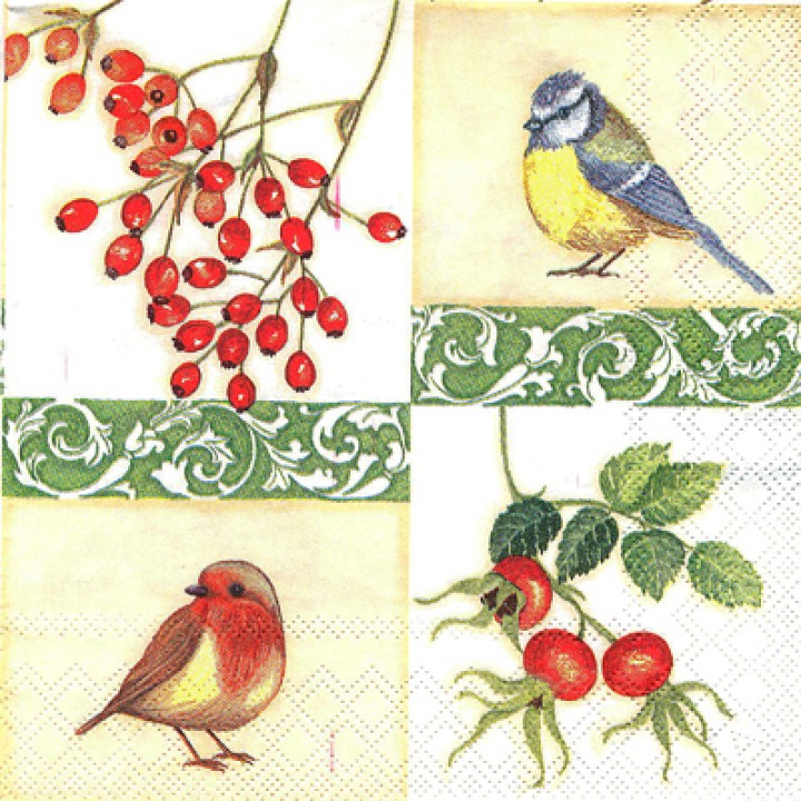 Птички и ягоды
