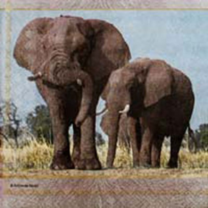 Слоны-2
