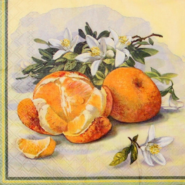 Салф. Аппетитные апельсины
