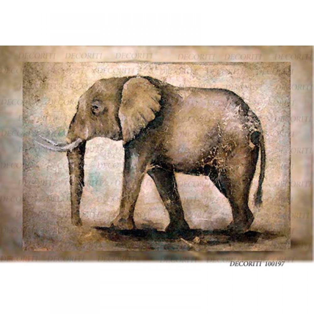 Слоник старую версию. Фреска с изображением животного. Слоны для декупажа. Декупаж животные. Фреска слоны.