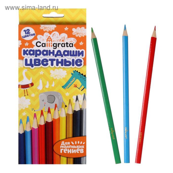 Набор цветных карандашей, 12цв. Calligrata