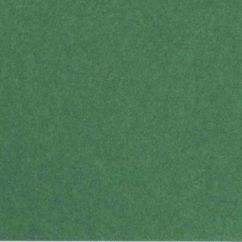 Бумага цветная A4, зеленый еловый 300г. 10 листов