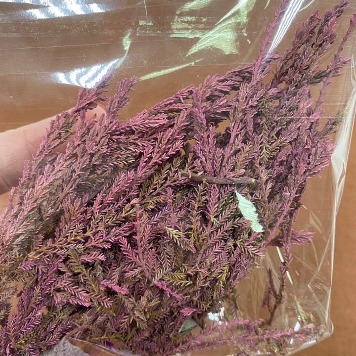 Сухоцветы - фиолетовые веточки