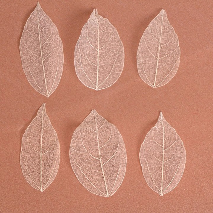 Сухие листья, 8×5 см, 5 шт.