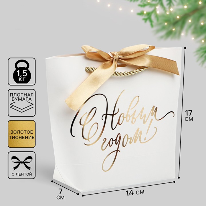 Пакет подарочный С Новым годом, 21х17х7см.